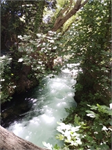 IMG_20240507_114707_361